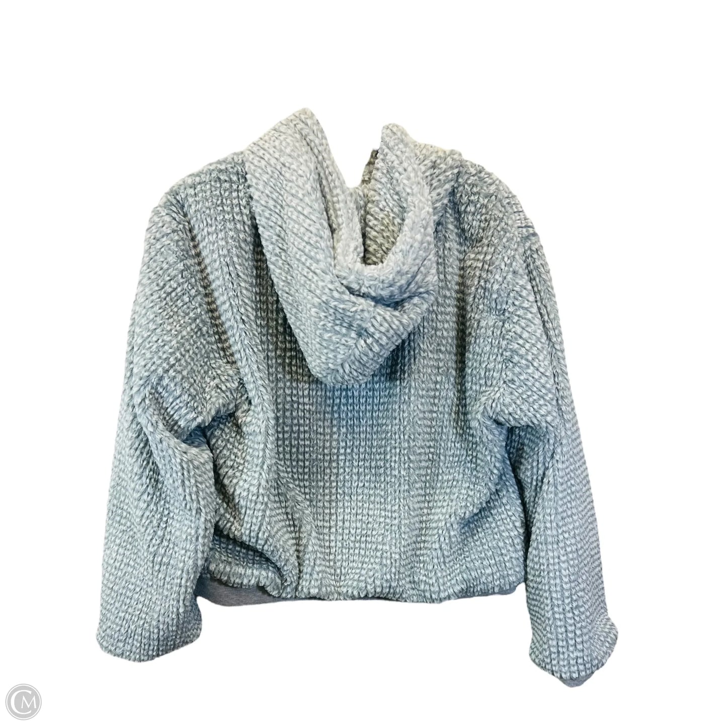 Sweatshirt Hoodie By Saturday/sunday In Grey, Size: Xs