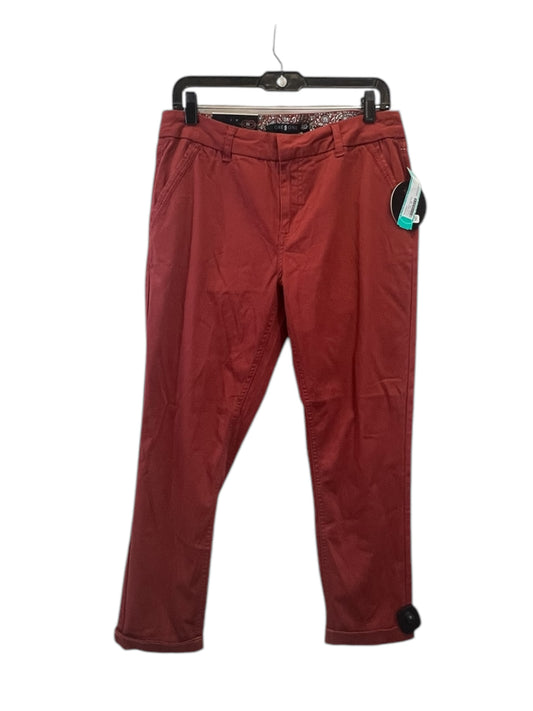 Pants Chinos & Khakis By One 5 One In Red, Size: 10