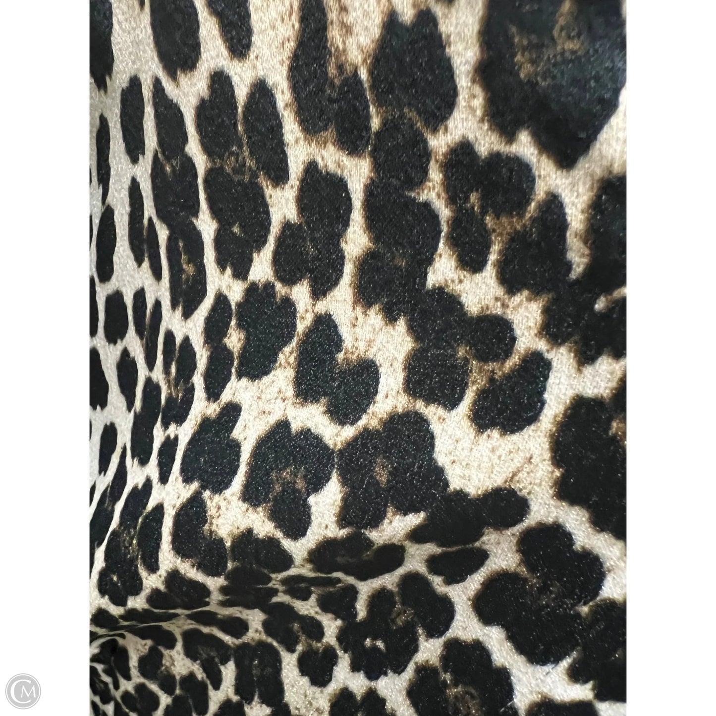 Blazer By Carolina Belle In Animal Print, Size: M