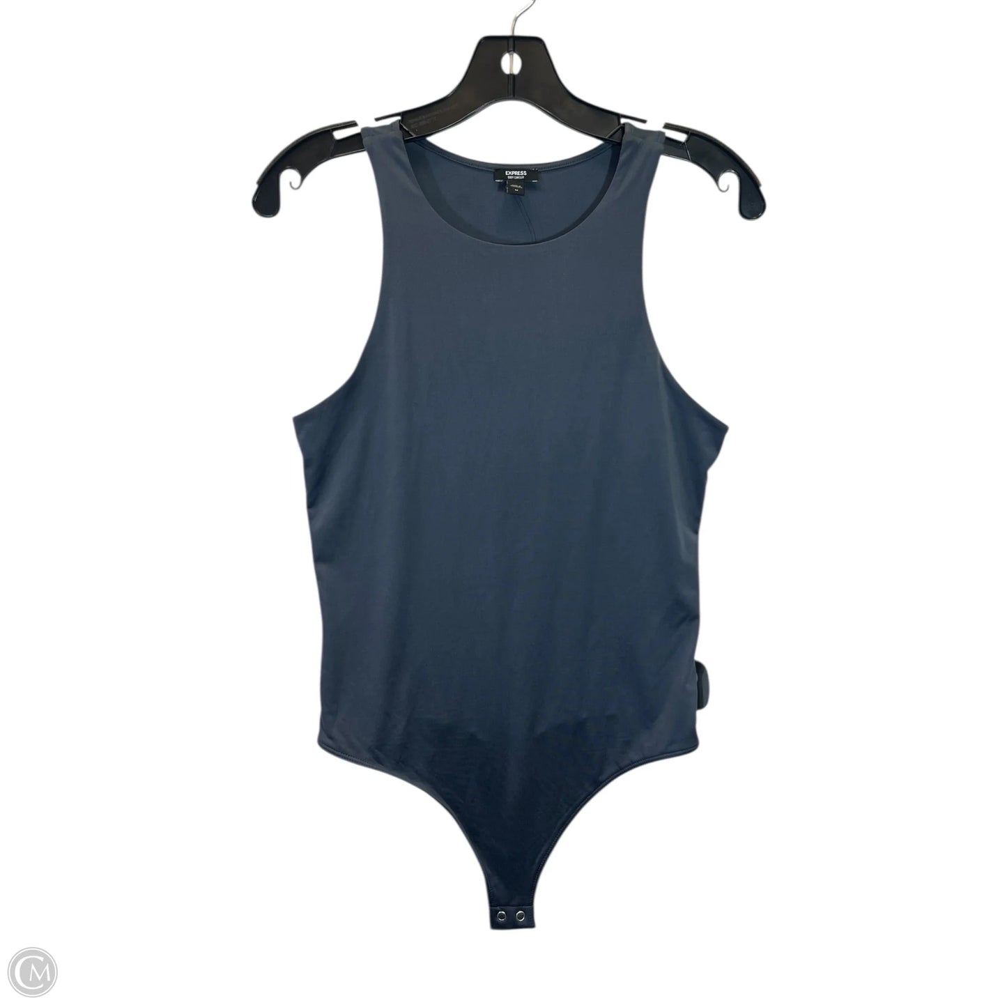 Bodysuit By Express In Grey, Size: L
