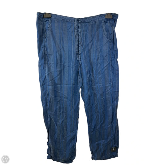Pants Designer By Johnny Was In Blue, Size: S