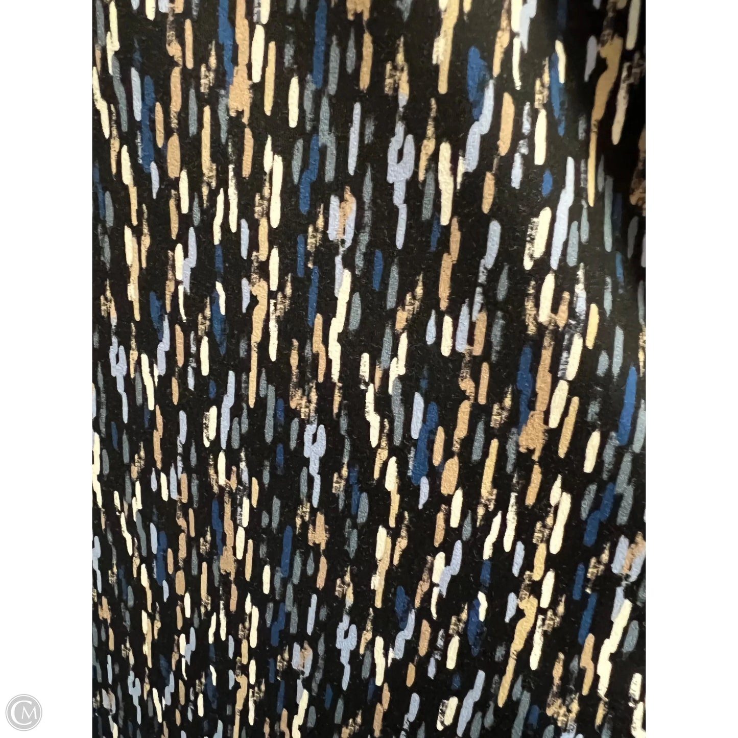 Top Long Sleeve By Chicos In Blue & Brown, Size: L