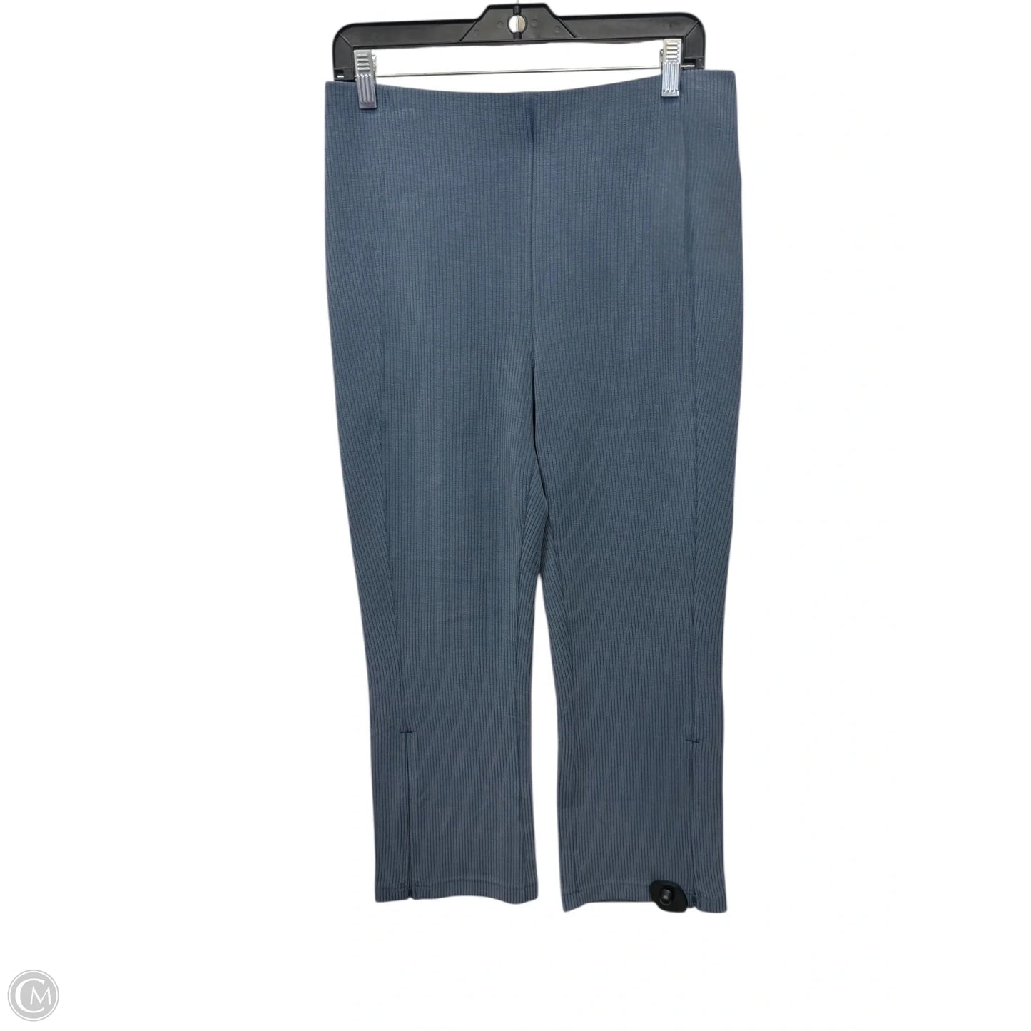 Athletic Pants By Lululemon In Blue, Size: 10